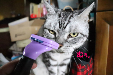 なんかやだ。