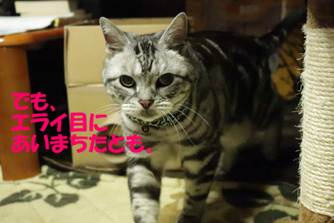 んもぉっ。