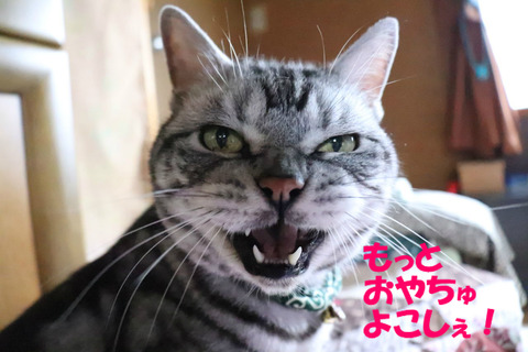 もっと食べう。