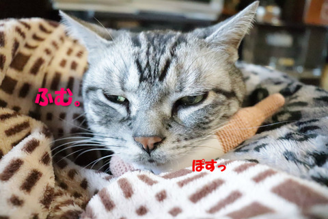 ふぅ。