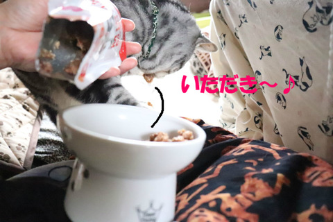 とったぁ!