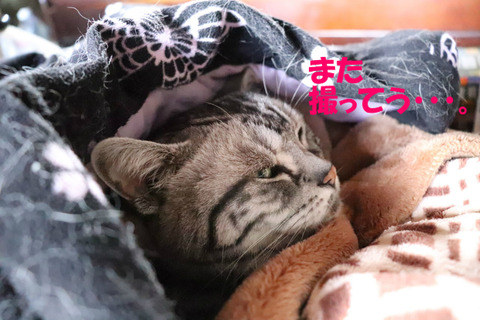 むぅ。