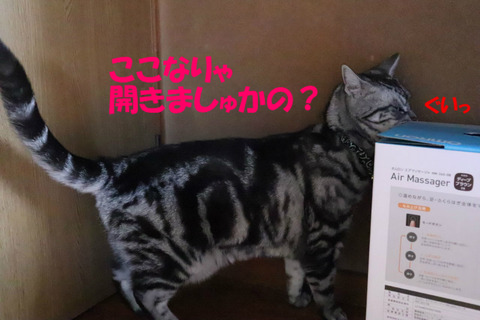 んむぅ。