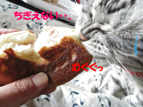 絶対、ちぎう!