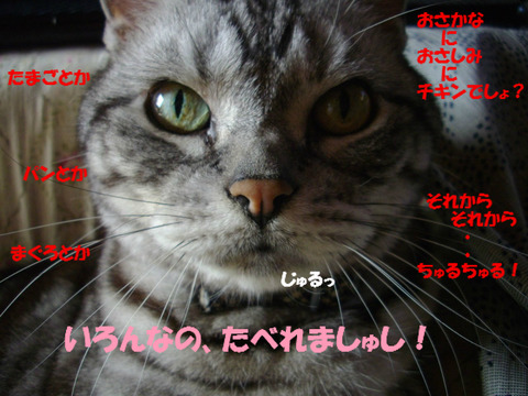 BlogPaint