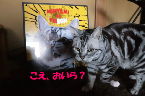 ?