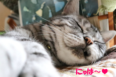 きもちうい~♥