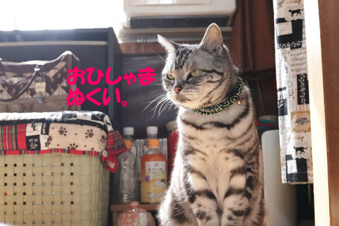 明るくなりまちたな。