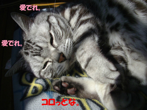 どっか、いくでしか?