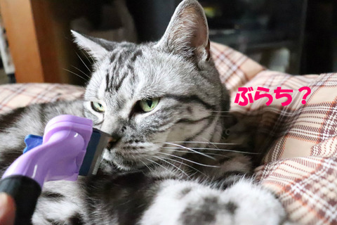 むぅ。
