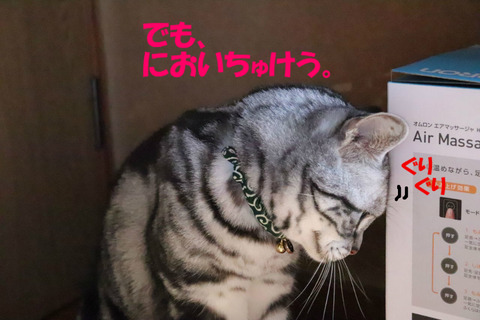箱、ほちいな~。