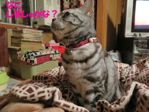 ん~と。