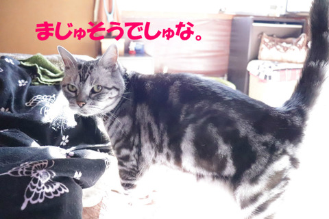 しょんなの、よく食べれましゅな。