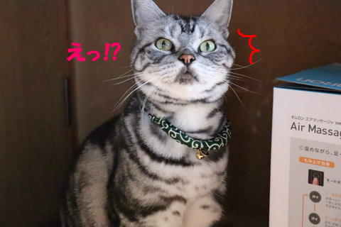 ちがう?