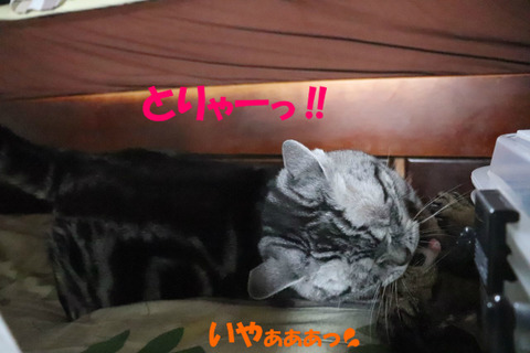 とぅっ!