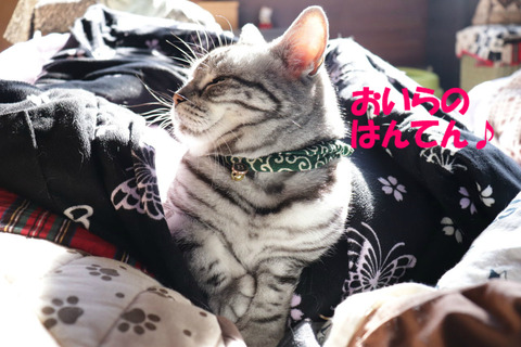 こえ、しゅきでしゅとも~♪