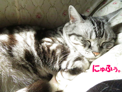 zzz