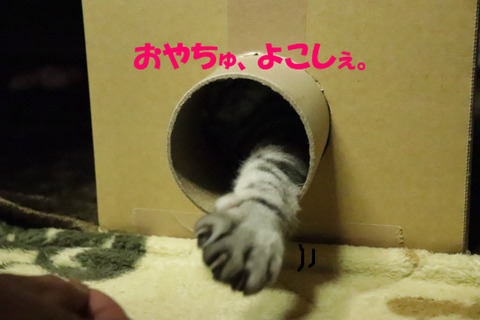 くりぇ。