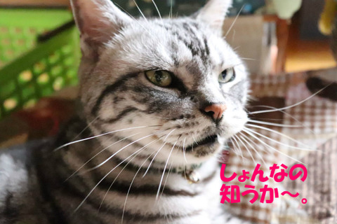 そえより撮りゅな~。