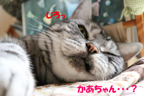 ちょっと。