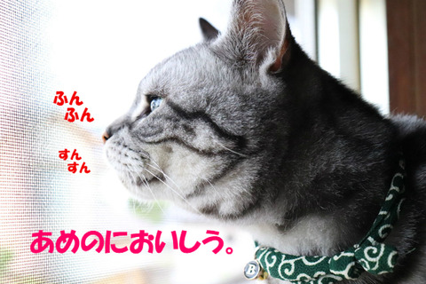 降りゅ?