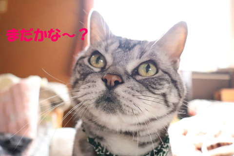 ♪