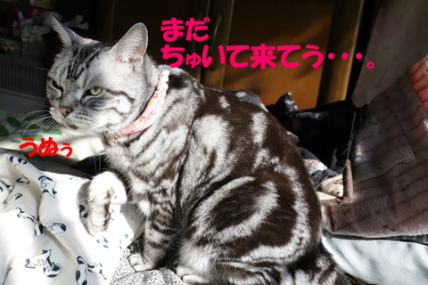 うじぇえ。