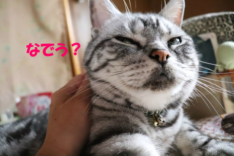 むふんっ♥
