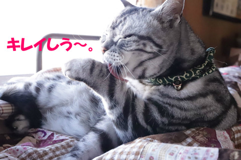 ふふ~ん。