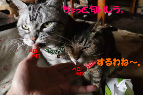 BlogPaint