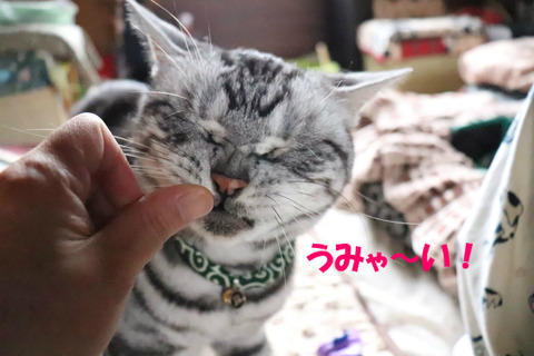 もっと~!