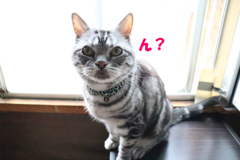 なに?
