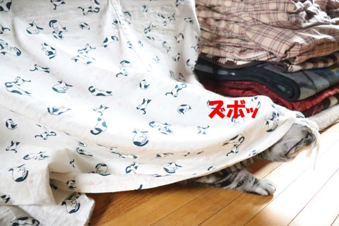 とぅっ!