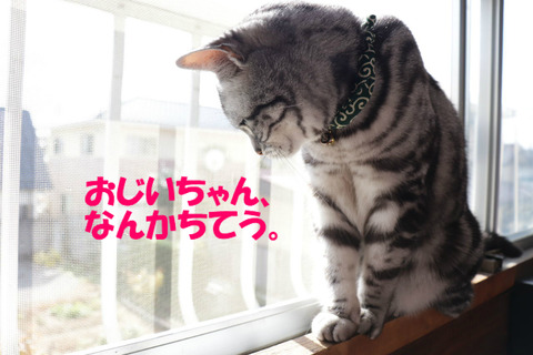 なんだ?
