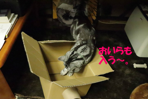 よいちょ。