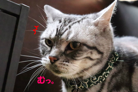 じぇんぶ出た・・・かな?
