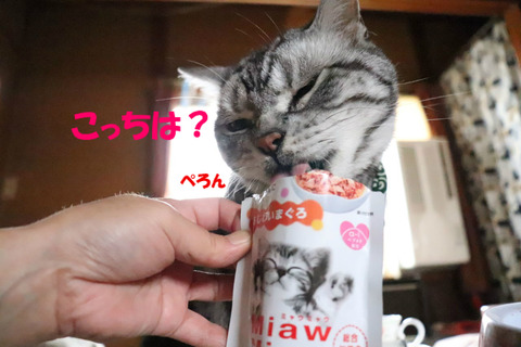 においしう~♪