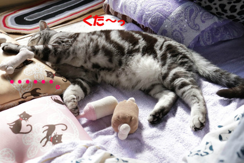 ちかえた。