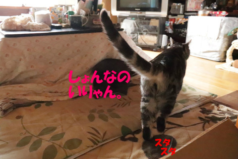 ふんっ。