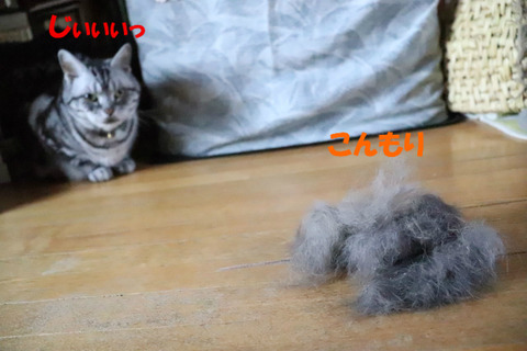 あしょんでいいでしゅかの?