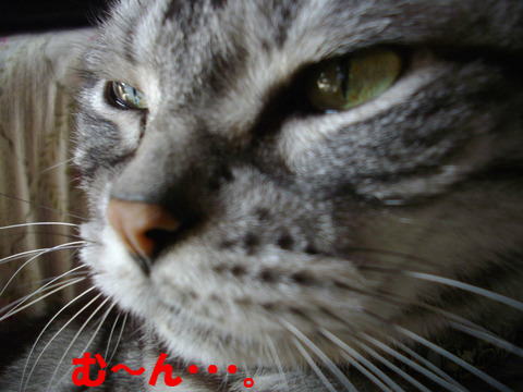 BlogPaint
