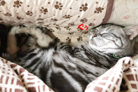 zzz