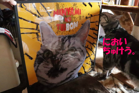 おいらのでしゅかの?