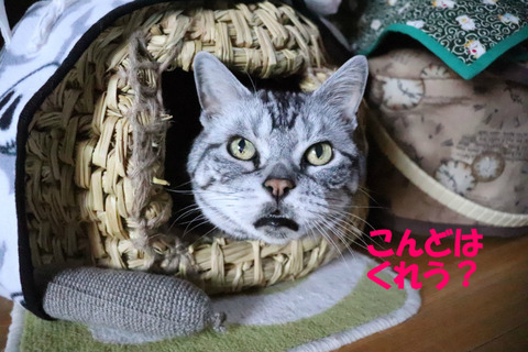 待ってうの。