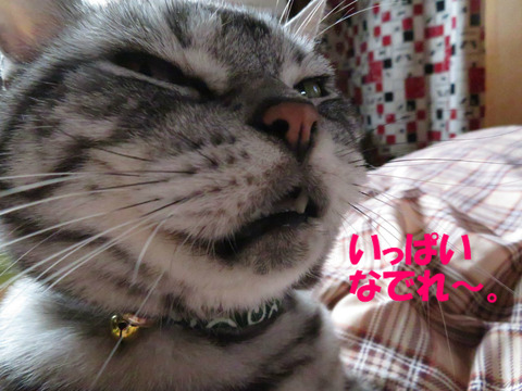さぁ。