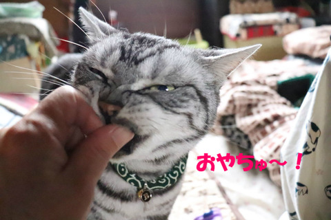 くりぇっ!