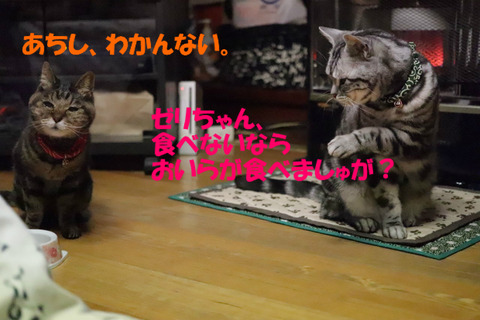 おいらが食べう~♪
