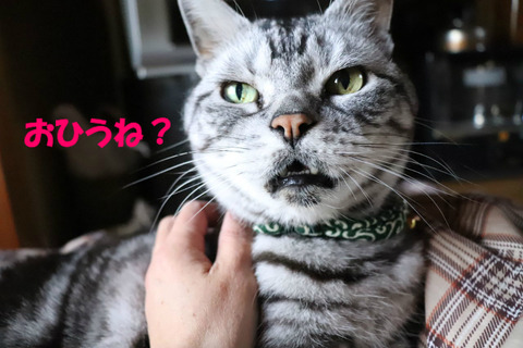 ?