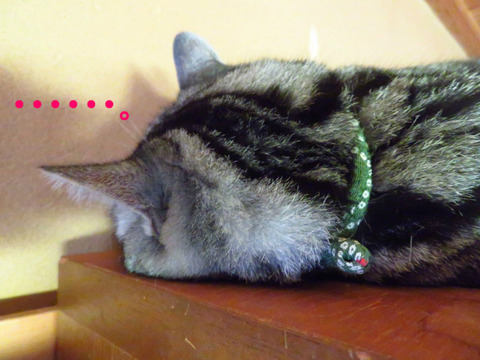zzz