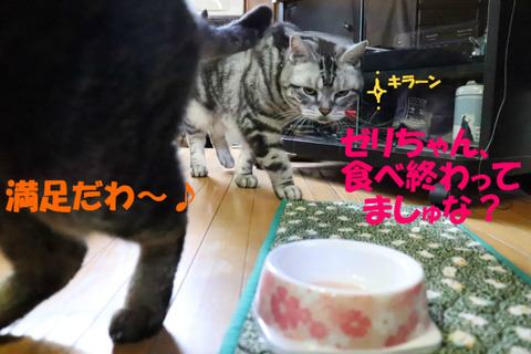 しめしめ。